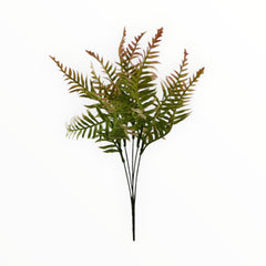 Collection image for: Follajes