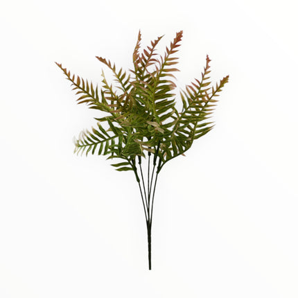 2651 Follaje Helecho