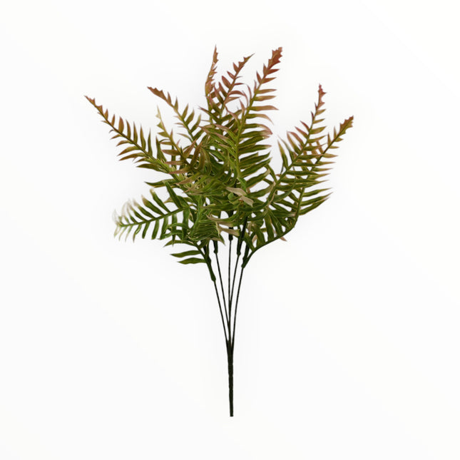 2651 Follaje Helecho