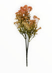 Rosa-2