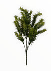 Menta