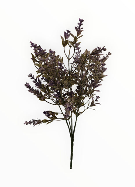 Follaje Lavanda