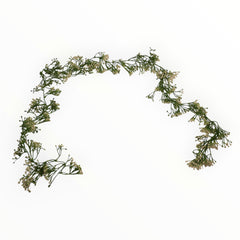 Collection image for: Colgantes Follajes