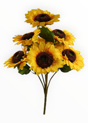 Ramo de Girasol x7
