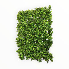 Collection image for: Muro Verde