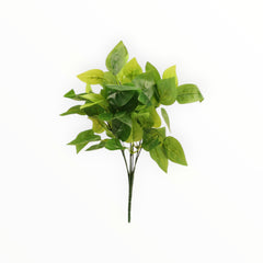 Collection image for: Follajes Verdes