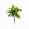 Follajes Verdes