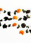 Naranja/Negro