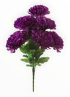 Morado oscuro