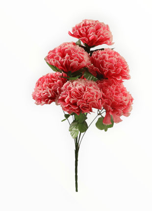 Clavel Gde x9
