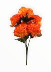 Calabaza