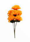 Calabaza