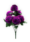 Morado