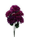 Morado