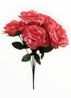 Rosa-2