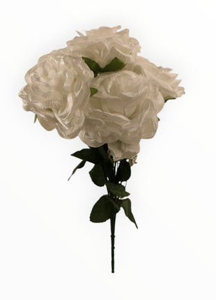 Rosa Abierta Italiana Satín x6