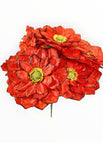 Rojo