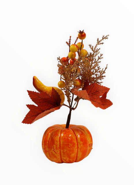 Calabaza c/pera y follaje