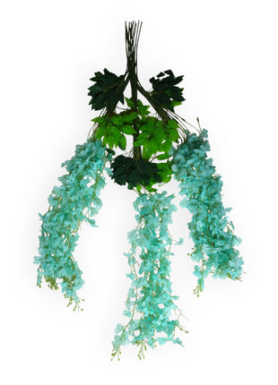 Wisteria 3 ramas x12