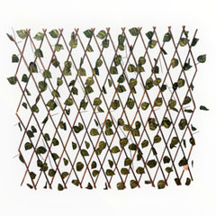 Collection image for: Biombos