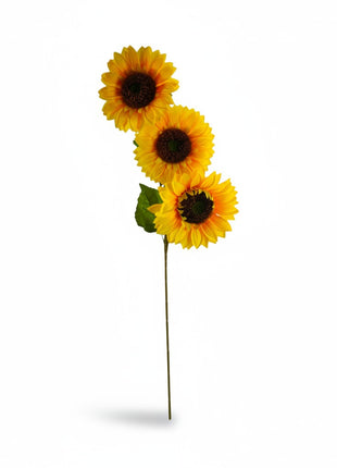 Vara Girasol Chico X3