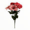 Dalia