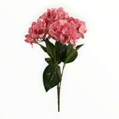 Collection image for: Hortensia