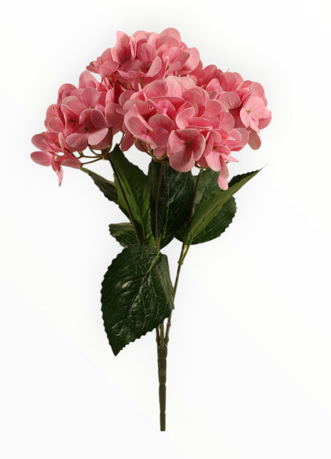 Ramo Hortensia x5 Natural Touch