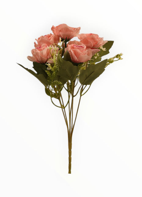 Rosa Abierta ch x6