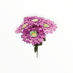 Collection image for: Gerbera