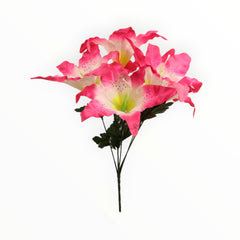Collection image for: Lirios