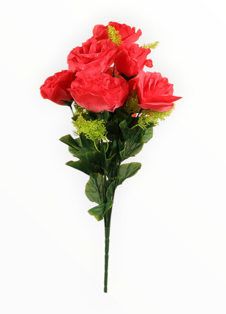Rosa Italiana Satín x9