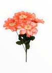 Palo de Rosa