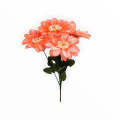 Collection image for: Dalia