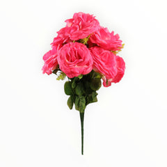 Collection image for: Rosas