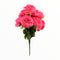 Rosas