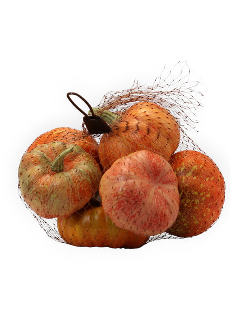 Set Calabazas Mini x7 Super Natural
