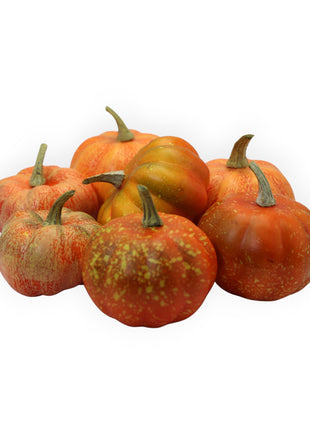 Set Calabazas Mini x7 Super Natural