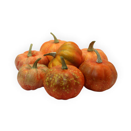 Set Calabazas Mini x7 Super Natural