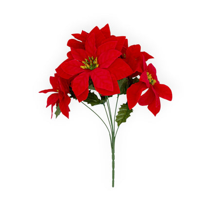 Noche Buena Terciopelo x6