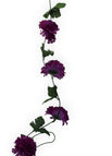 Morado