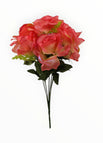Rosa-2
