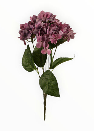 Ramo Hortensia x5 Natural Touch