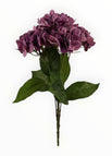 Morado