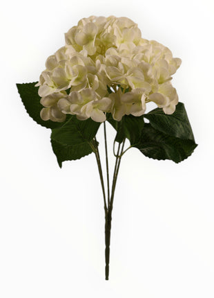 Ramo Hortensia x5 Natural Touch