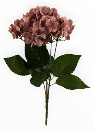 Ramo Hortensia x5 Natural Touch