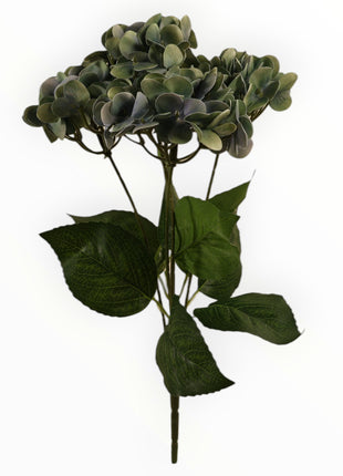 Ramo Hortensia x5 Natural Touch