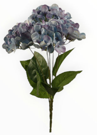 Ramo Hortensia x5 Natural Touch