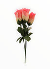 Palo de Rosa