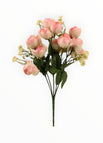 Crema/Rosa